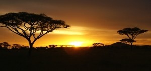 Support for relocating employees to hardship locations