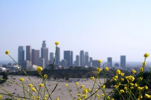 Where to live in LA - 6 great areas to move to