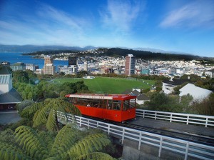relocation assistance - getting around in Wellington