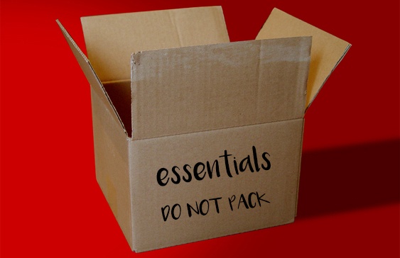 essentials box when moving house