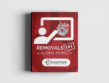 removals 101 for global mobility.jpg