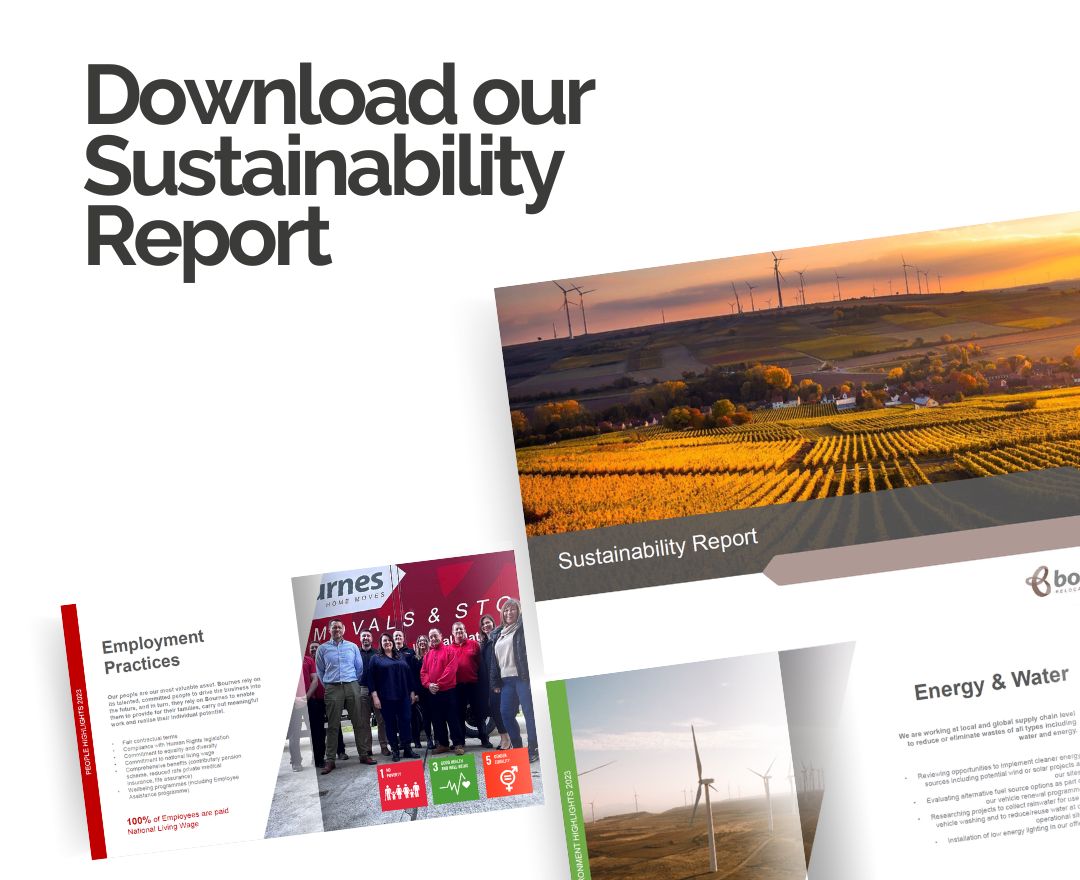 sustainability report CTA (2)
